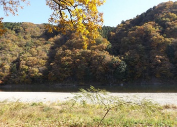 那珂川と前山の紅葉