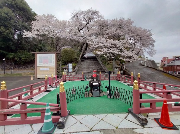 宇都宮赤門慈光寺の桜3月29日