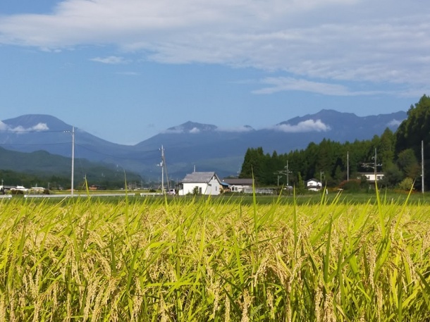 日光山の秋 日光山の秋