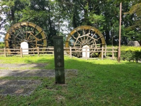 杉並木公園