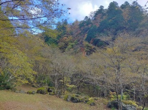 寂光の滝駐車場の紅葉