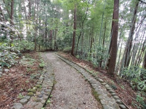 杉並木公園内