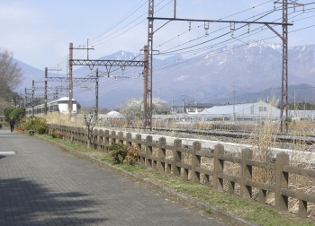 公園内
