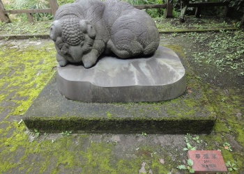 カタクリ開花４月９日