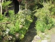報徳庵前の小川