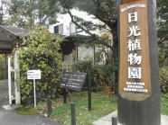 入口