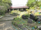 山草は少し早いようです。5.11