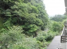 部屋よりの景色