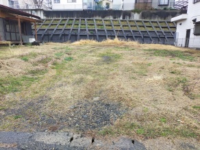 西側より