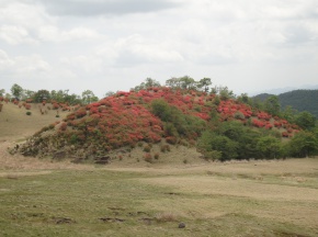 ５月18日