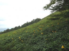 中腹より７月12日