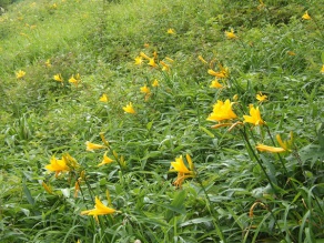 7月12日