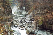 庚申川の清流（かっては公害の原点といわれ死の川だった）