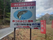 入口です。