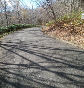 現地前道路