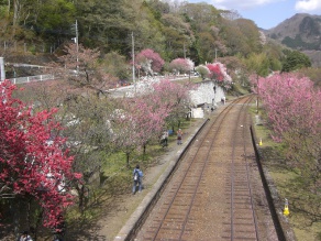神戸駅