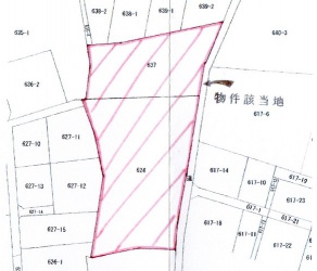 公図