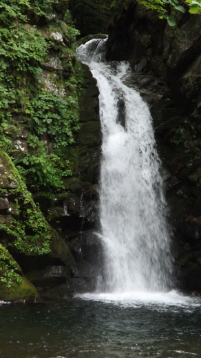 大滝