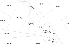 公図