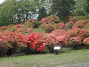 5月17日