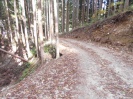山道