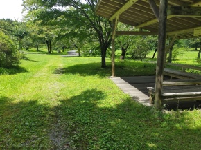 夏の散策路