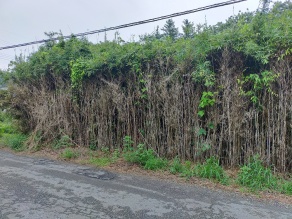 草刈り整地渡し